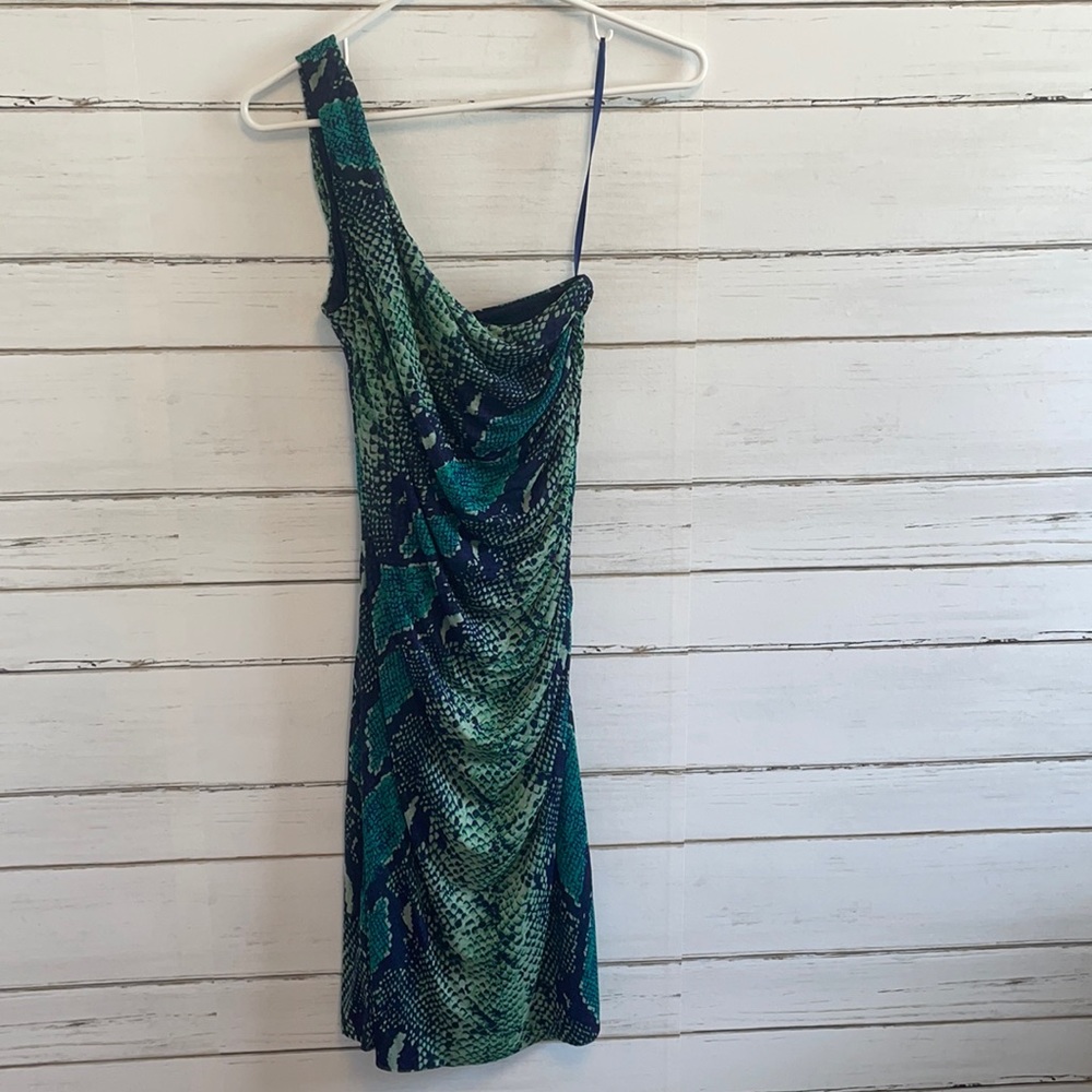 NWT DVF python dress